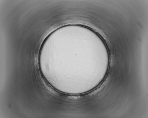 X0000113041513200909241424