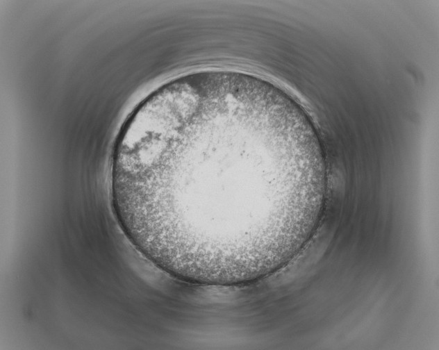 X0000113041514200909241424