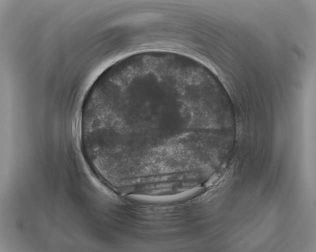 X0000113041515200909241424