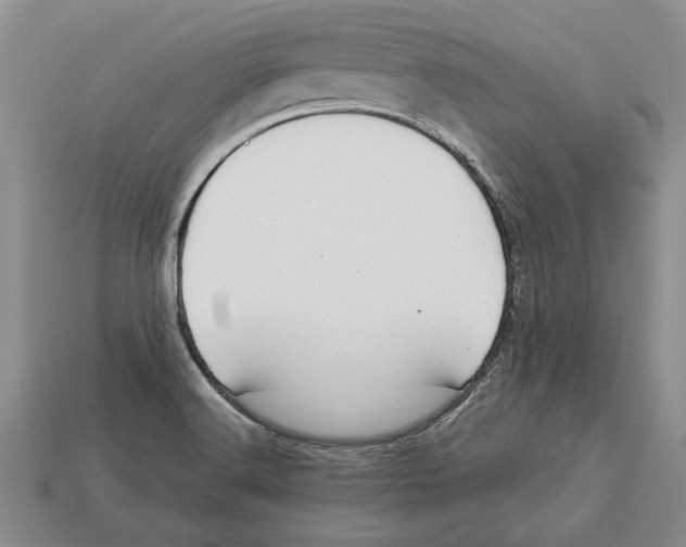X0000113041516200909241424