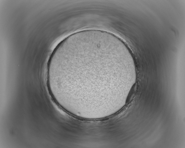 X0000113041519200909241424
