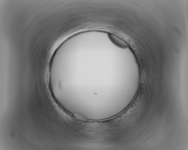 X0000113041520200909241424