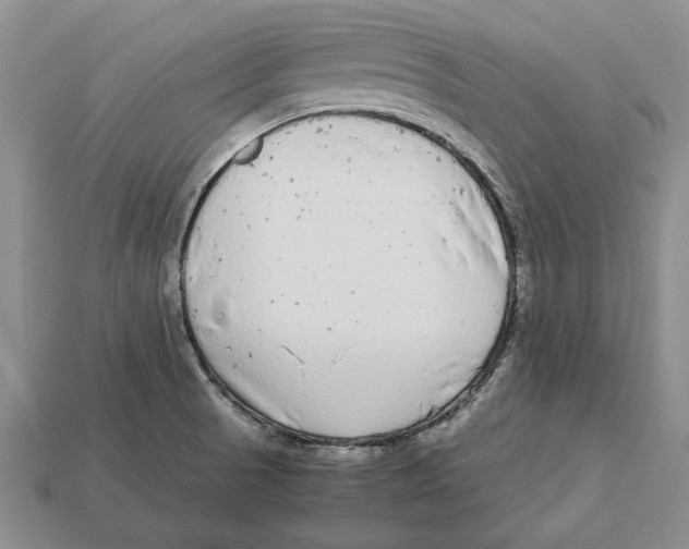 X0000113041521200909241424