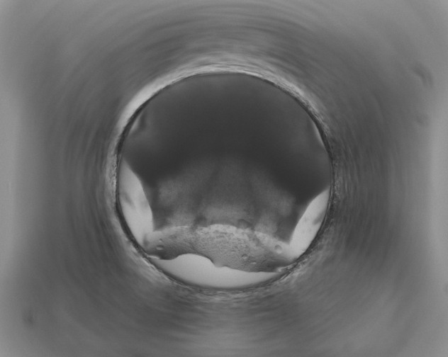 X0000113041522200909241424