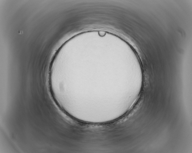 X0000113041525200909241424