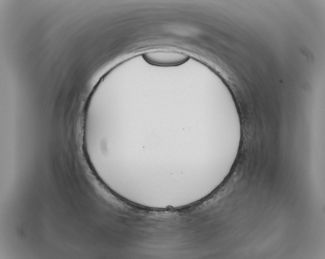 X0000113041526200909241424
