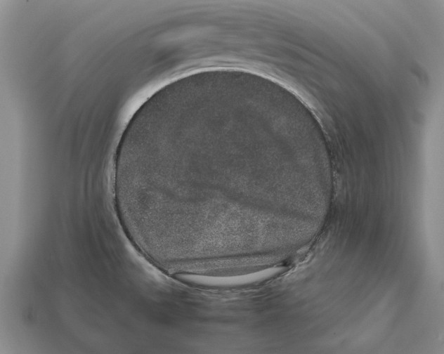 X0000113041527200909241424