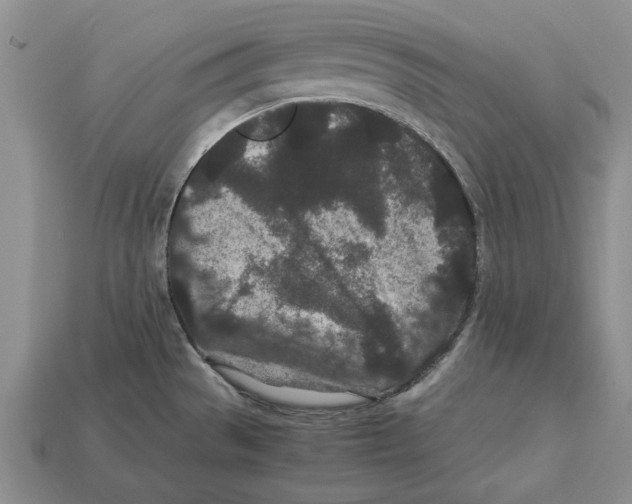 X0000113041529200909241424