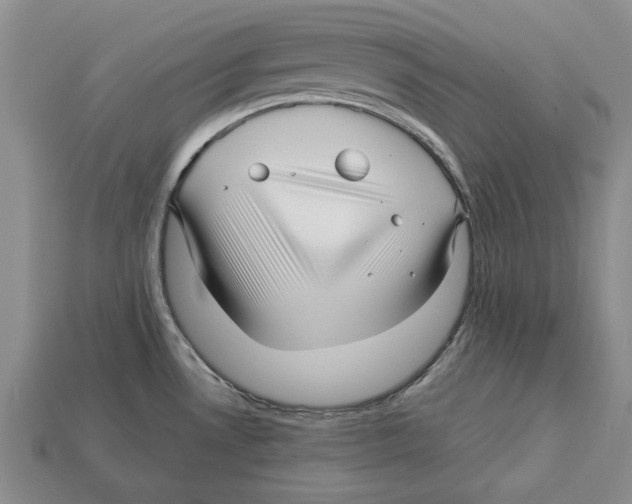 X0000113041530200909241424