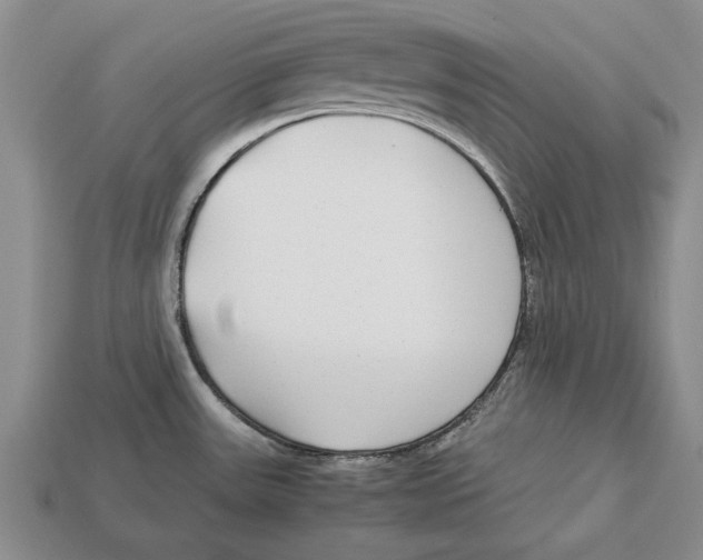 X0000113041531200909241424