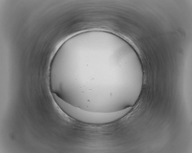 X0000113041532200909241424