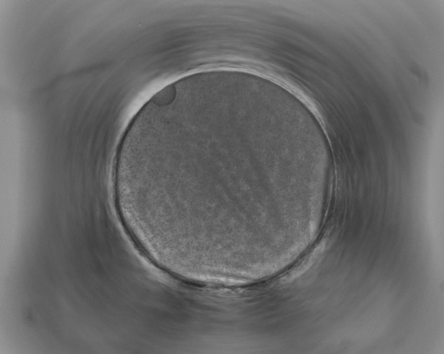 X0000113041533200909241424