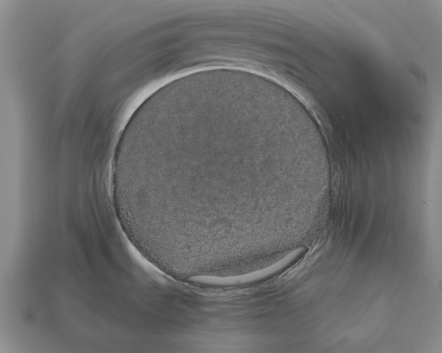 X0000113041535200909241424