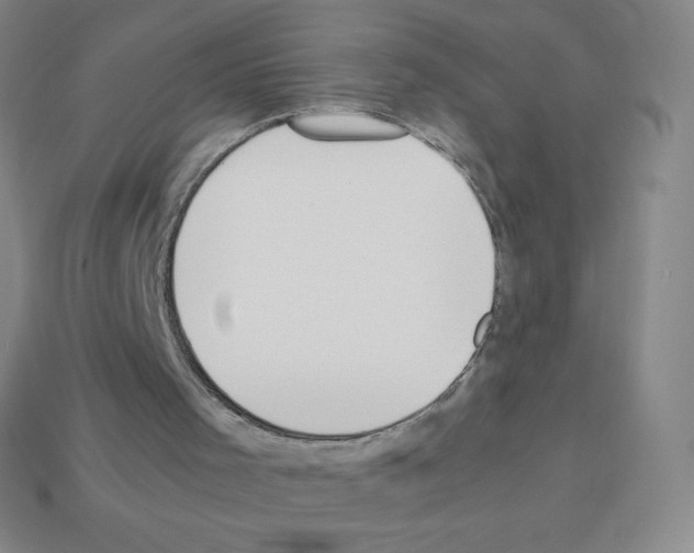 X0000113040001200910081220