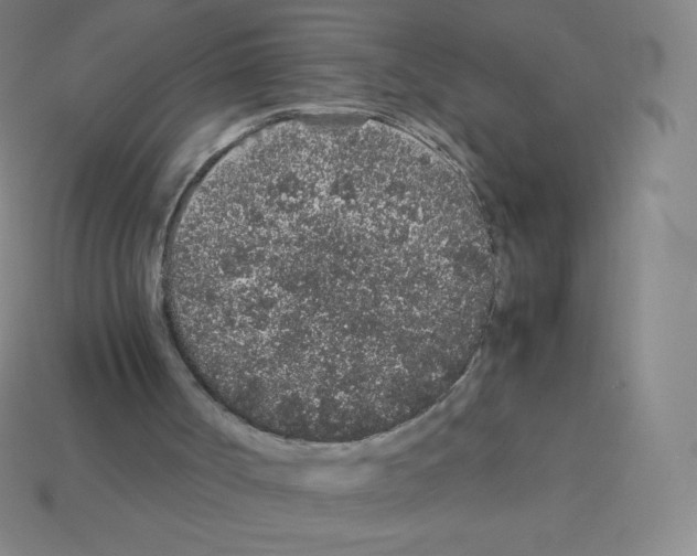 X0000113040002200910081220
