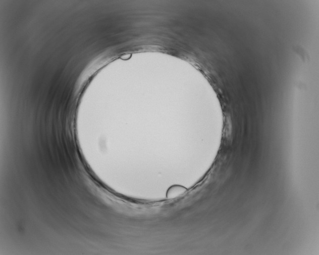 X0000113040004200910081220