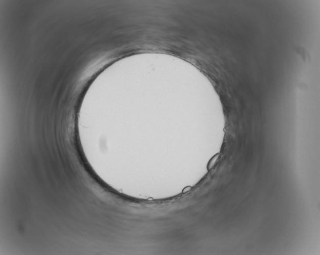 X0000113040005200910081220