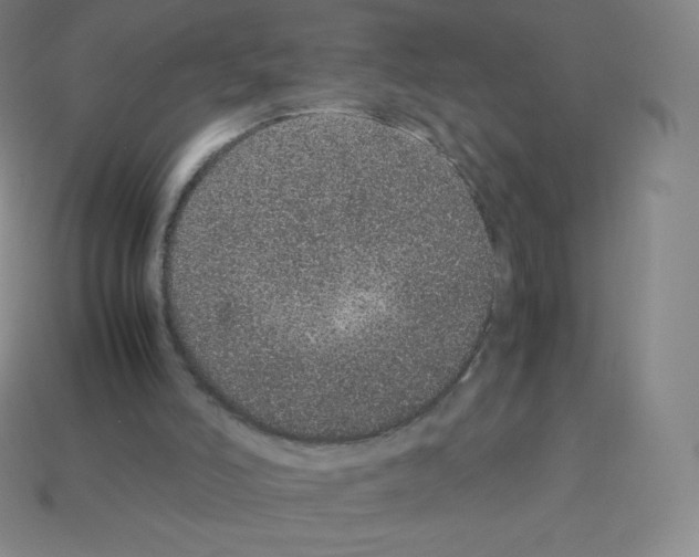 X0000113040006200910081220