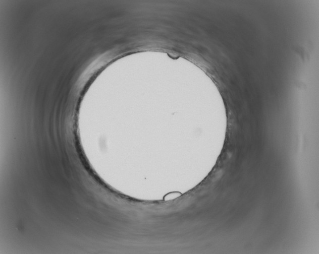 X0000113040007200910081220