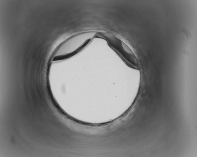 X0000113040008200910081220