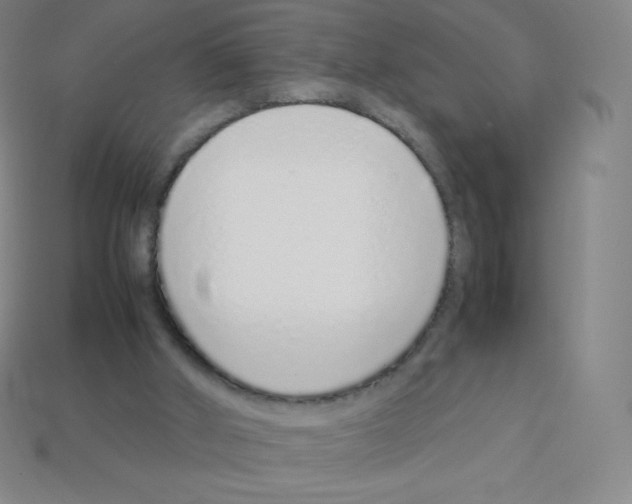 X0000113040010200910081220