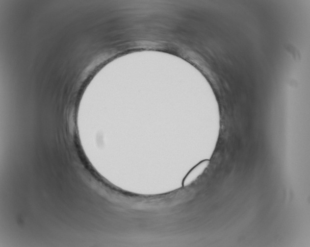 X0000113040011200910081220