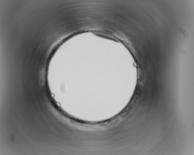 X0000113040012200910081220