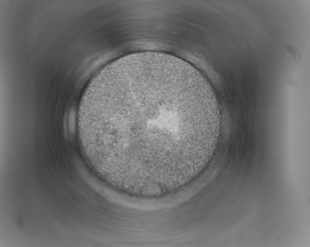 X0000113040014200910081220