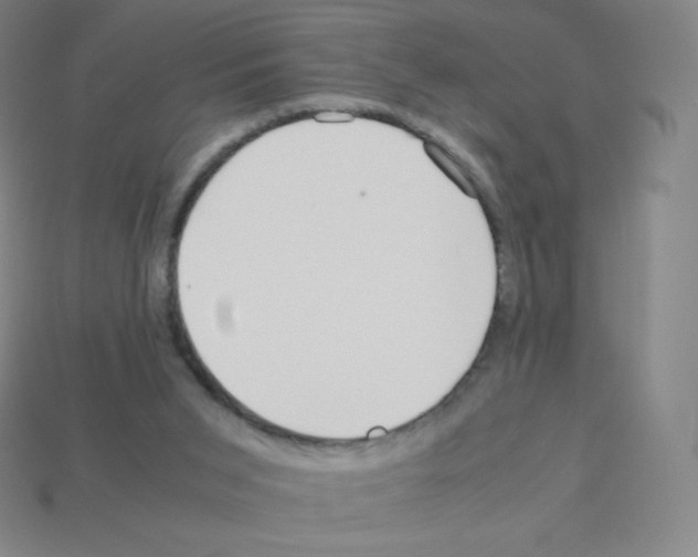 X0000113040015200910081220