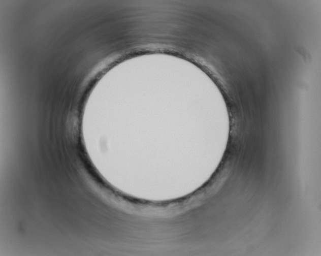 X0000113040016200910081220