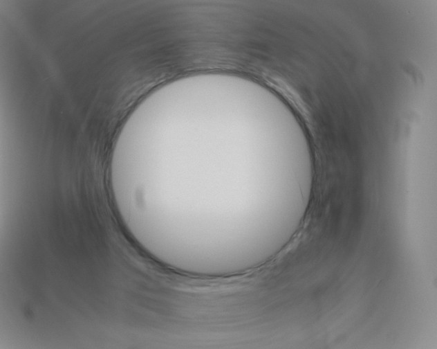 X0000113040017200910081220