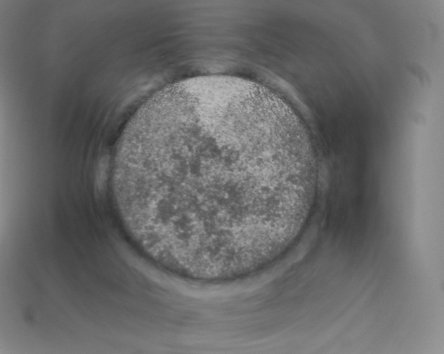 X0000113040018200910081220