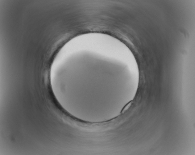 X0000113040019200910081220