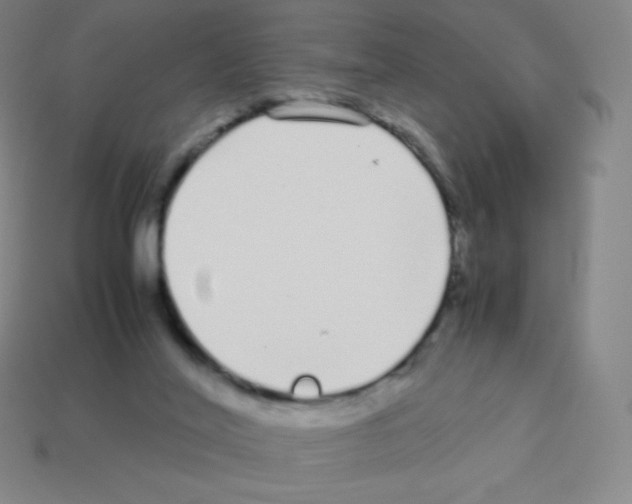 X0000113040020200910081220