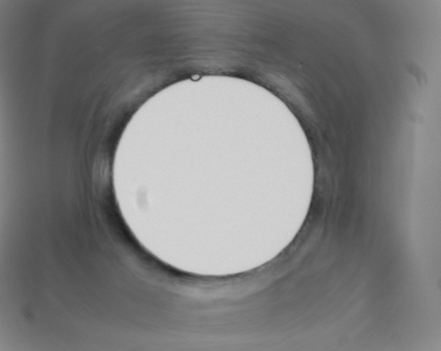 X0000113040021200910081220