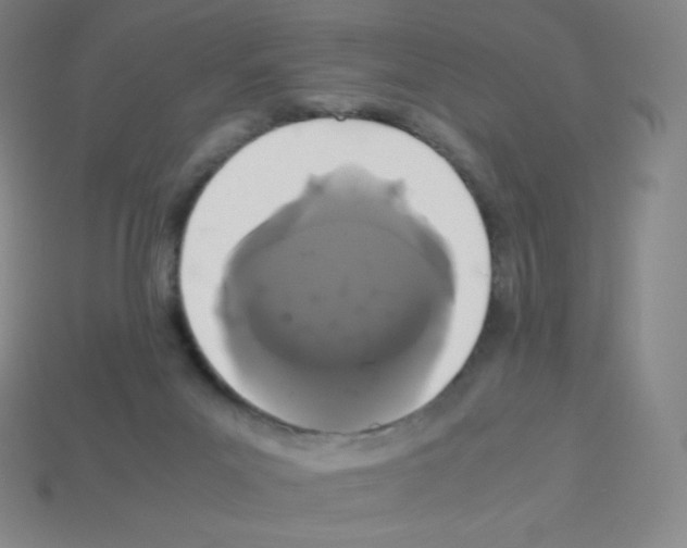 X0000113040023200910081220