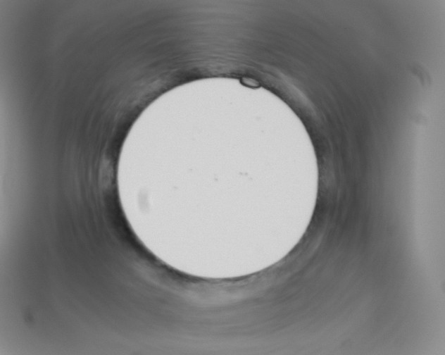 X0000113040025200910081220