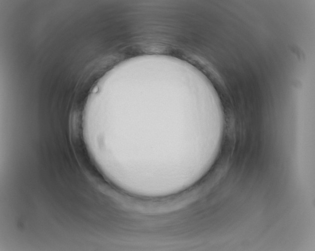 X0000113040026200910081220