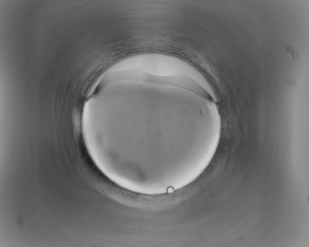X0000113040027200910081220