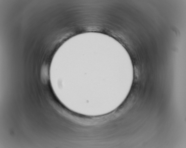 X0000113040028200910081220