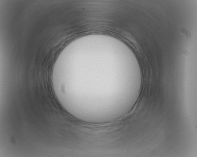 X0000113040029200910081220