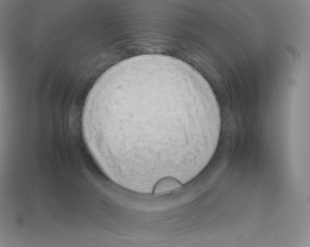 X0000113040030200910081220