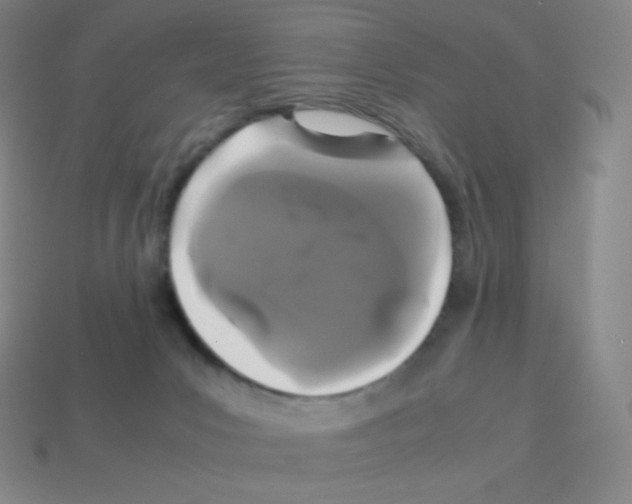 X0000113040031200910081220
