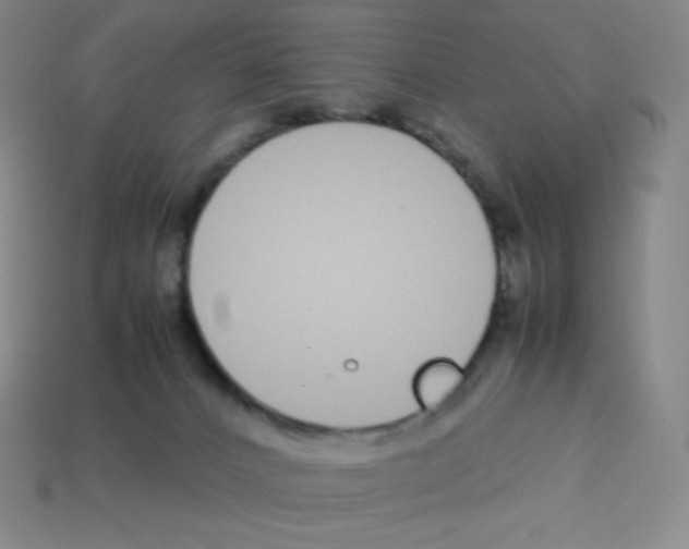 X0000113040032200910081220