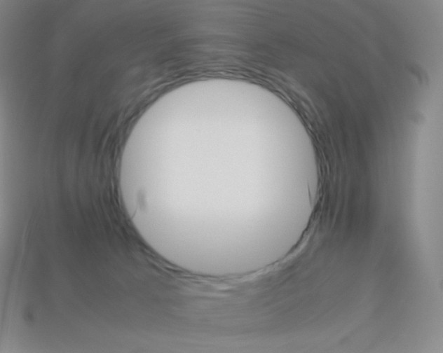 X0000113040033200910081220