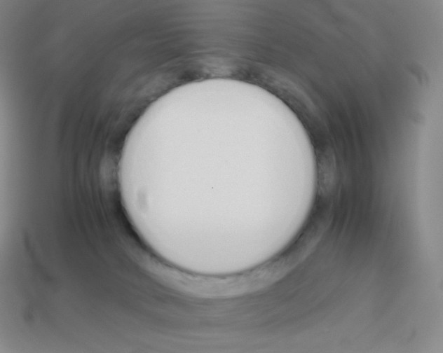 X0000113040034200910081220