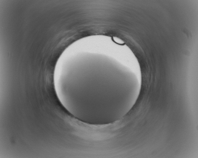 X0000113040035200910081220