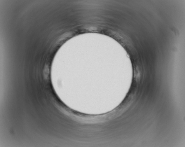 X0000113040036200910081220