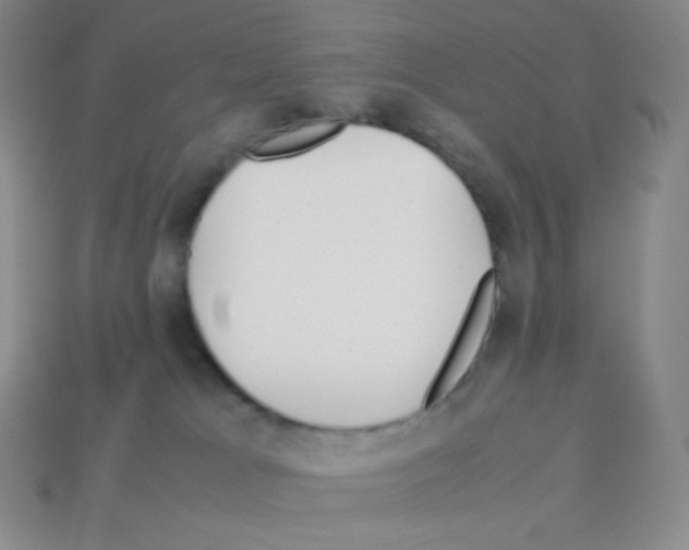 X0000113040037200910081220