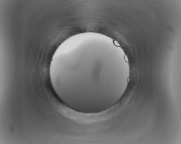 X0000113040039200910081220